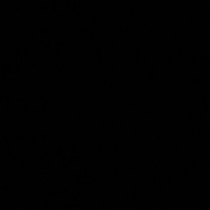 Meet your Posher, Hailey